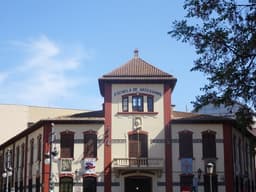 Escuelas Profesionales De Artesanos