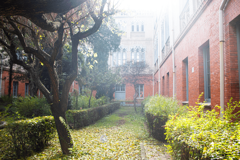 Foto secundaria del campus Colegio Internacional Nicoli