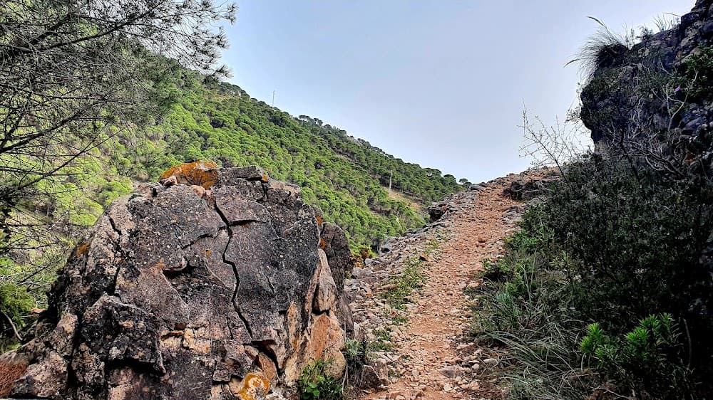 Guia En El Medi Natural I De Temps De Lleure a Sierra De Mijas (Sierra De Mijas): foto 5