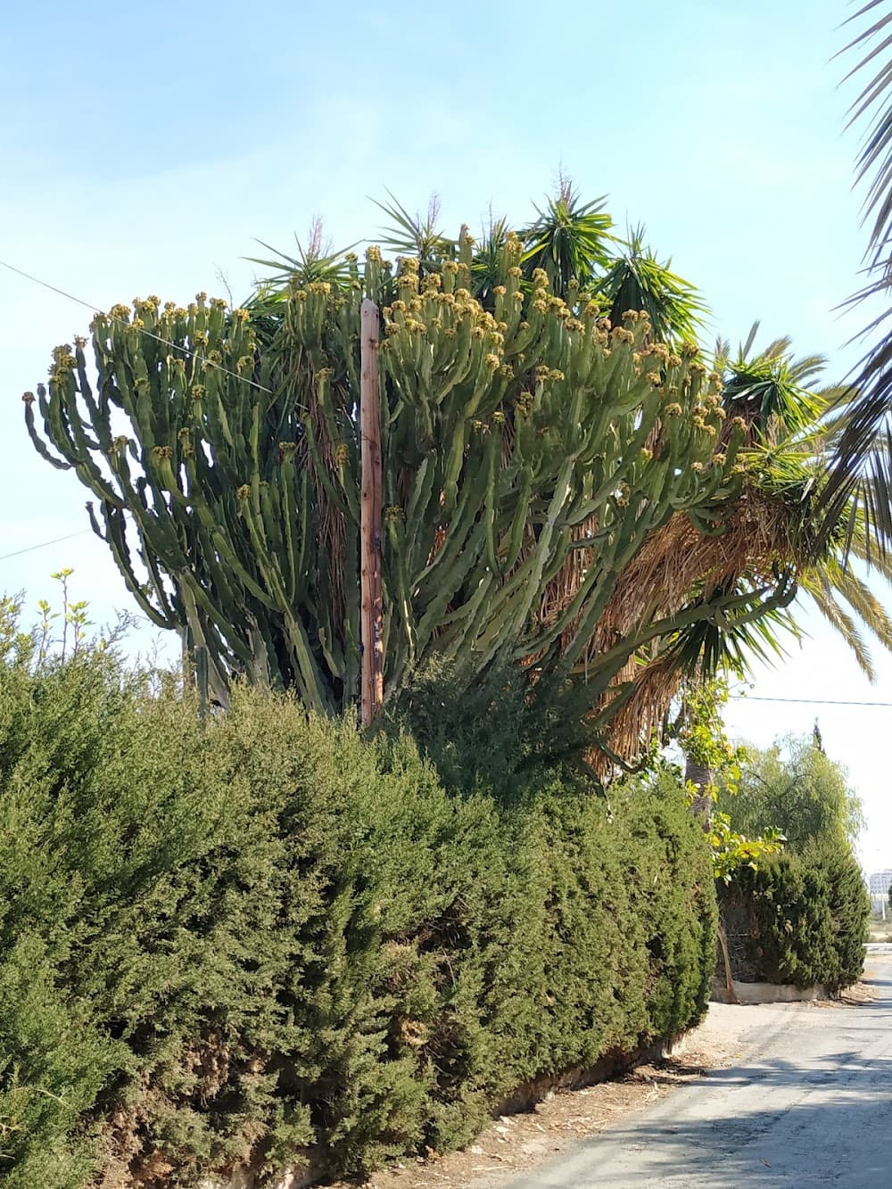 Foto secundaria del campus San José Artesano