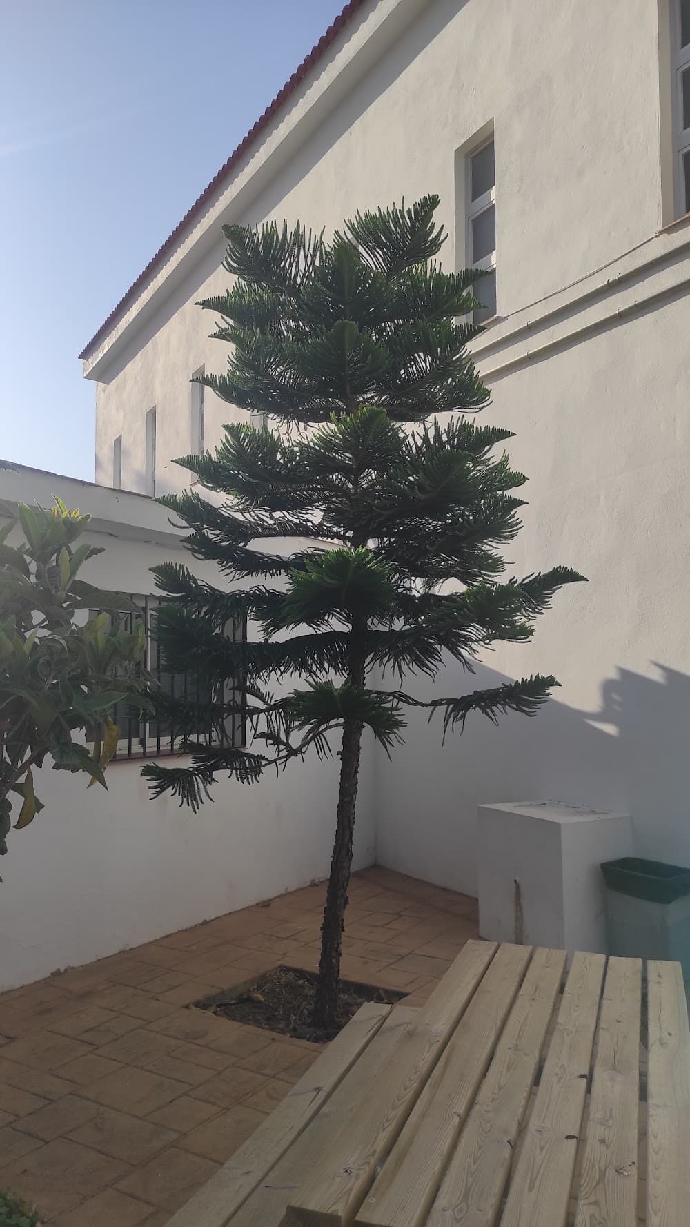 Foto secundaria del campus Sierra Bermeja
