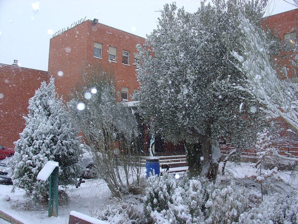Foto secundaria del campus Miguel De Molinos