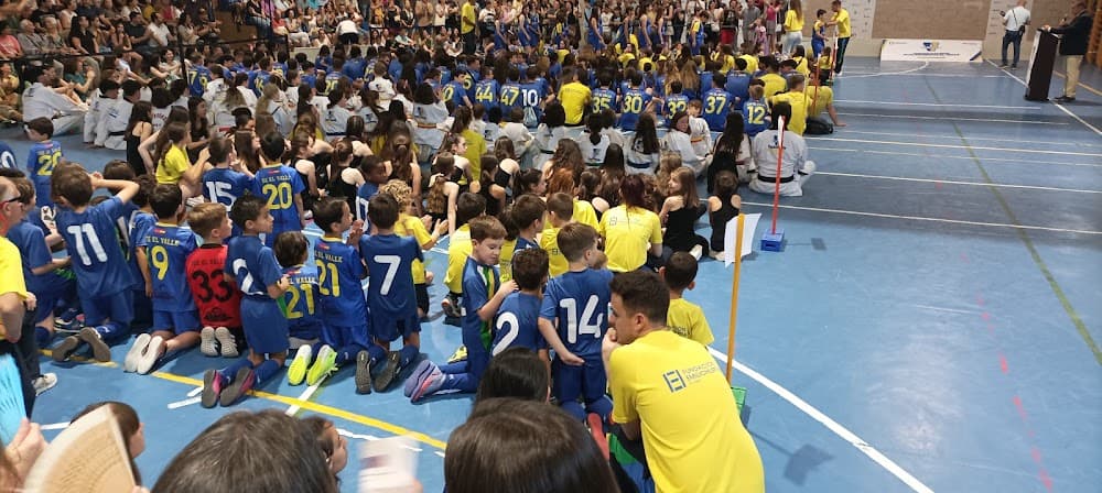 Enseñanza Y Animación Sociodeportiva en El Valle (El Valle, Madrid): foto 4