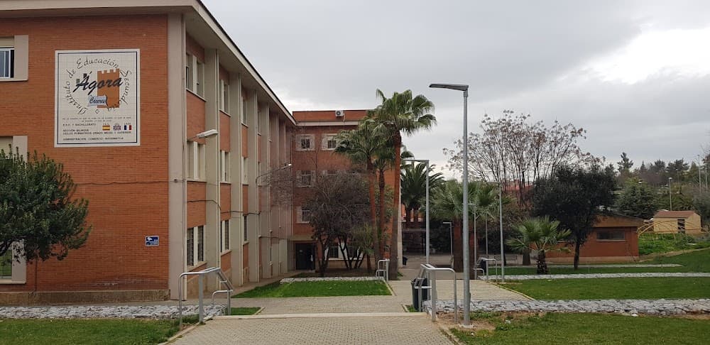 Asistencia A La Dirección en Agora (Agora, Cáceres): foto 1