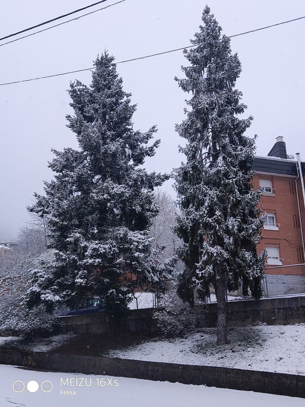 Foto secundaria del campus I.e.s. "concejo De Tineo"