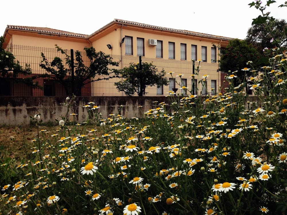 Foto secundaria del campus Américo Castro