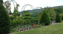 Agroforestal