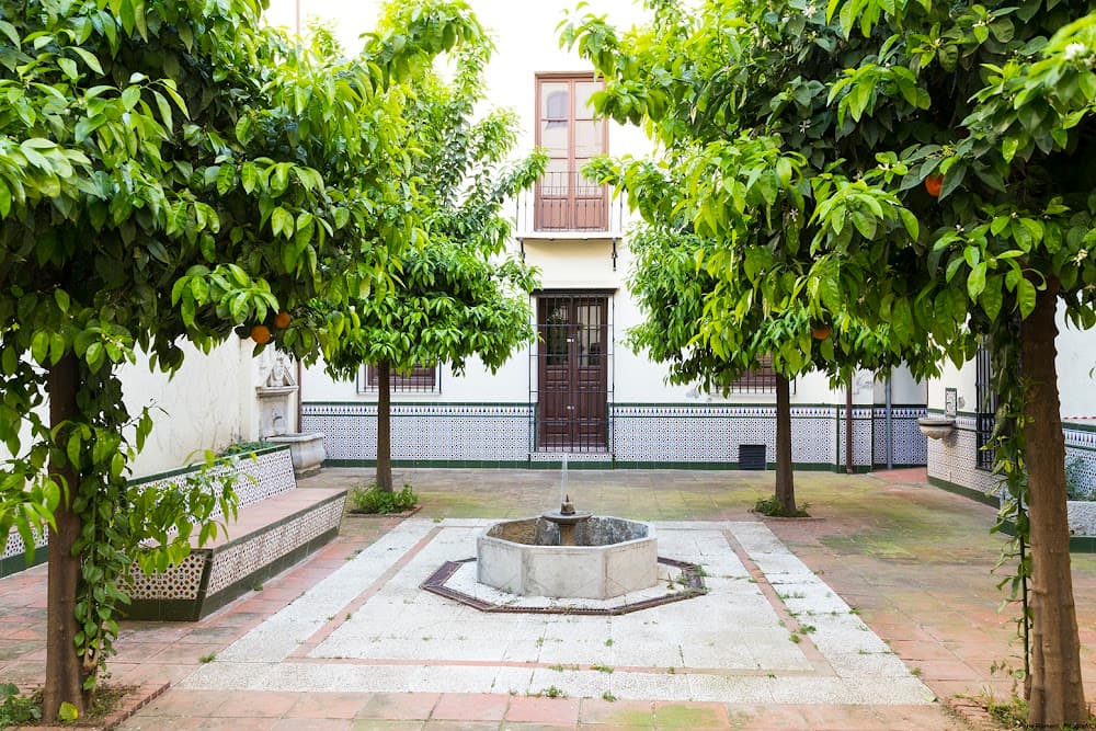 Guía, Información Y Asistencia Turísticas en Alhamar (Alhamar, Granada): foto 5