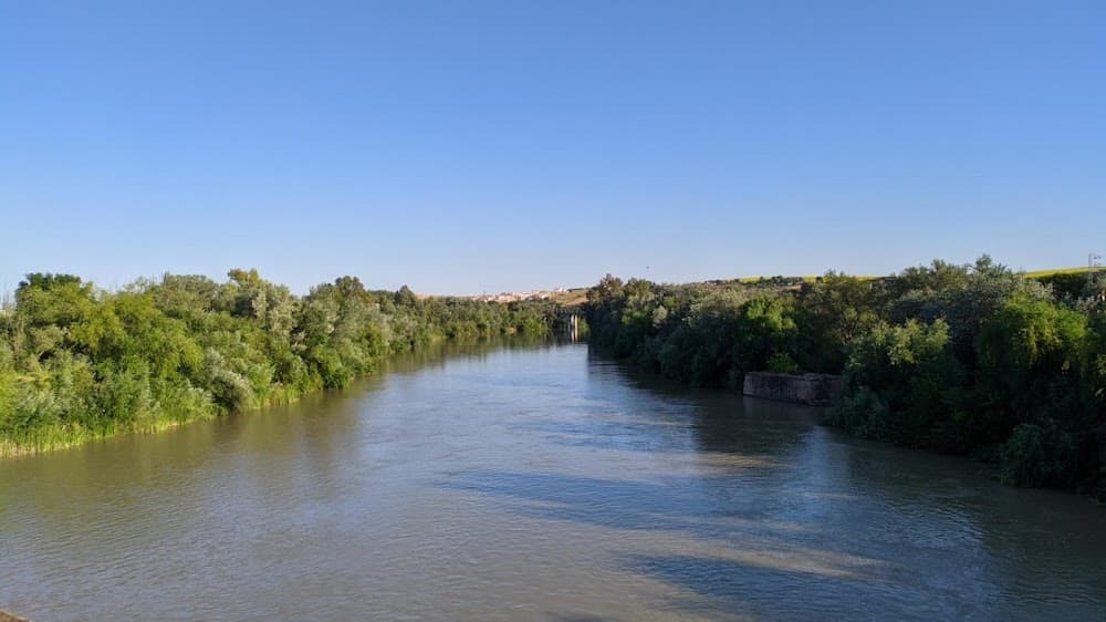 Aprovechamiento Y Conservación Del Medio Natural en Puente De Alcolea (Puente De Alcolea): foto 3