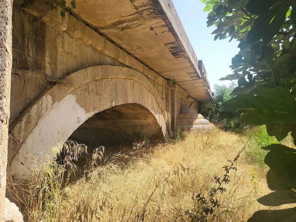 Aprovechamiento Y Conservación Del Medio Natural en Puente De Alcolea (Puente De Alcolea): foto 5
