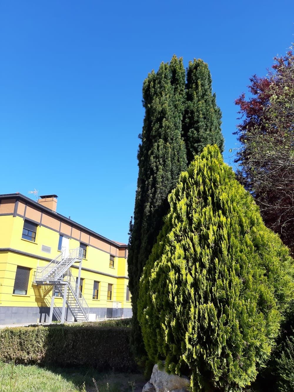 Jardineria I Floristeria a Agrario Arkaute / Arkaute Nekazaritza (Agrario Arkaute / Arkaute Nekazaritza, Arkauti): foto 4