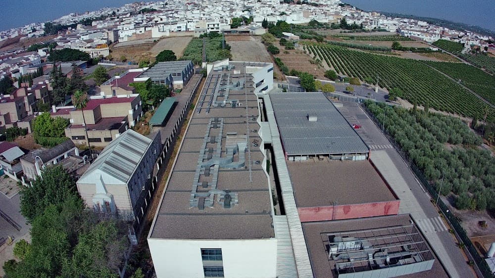 Acondicionamiento Físico en Emilio Canalejo Olmeda (Emilio Canalejo Olmeda, Montilla): foto 3