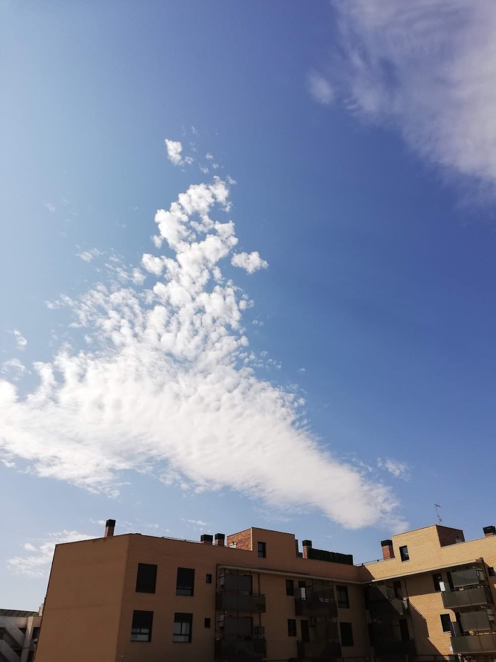Foto secundaria del campus Internacional Ánfora