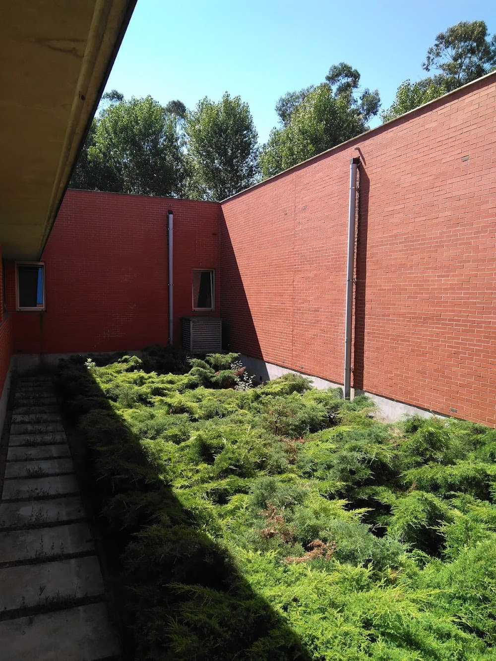 Foto secundaria del campus Manuel Gutierrez Aragon