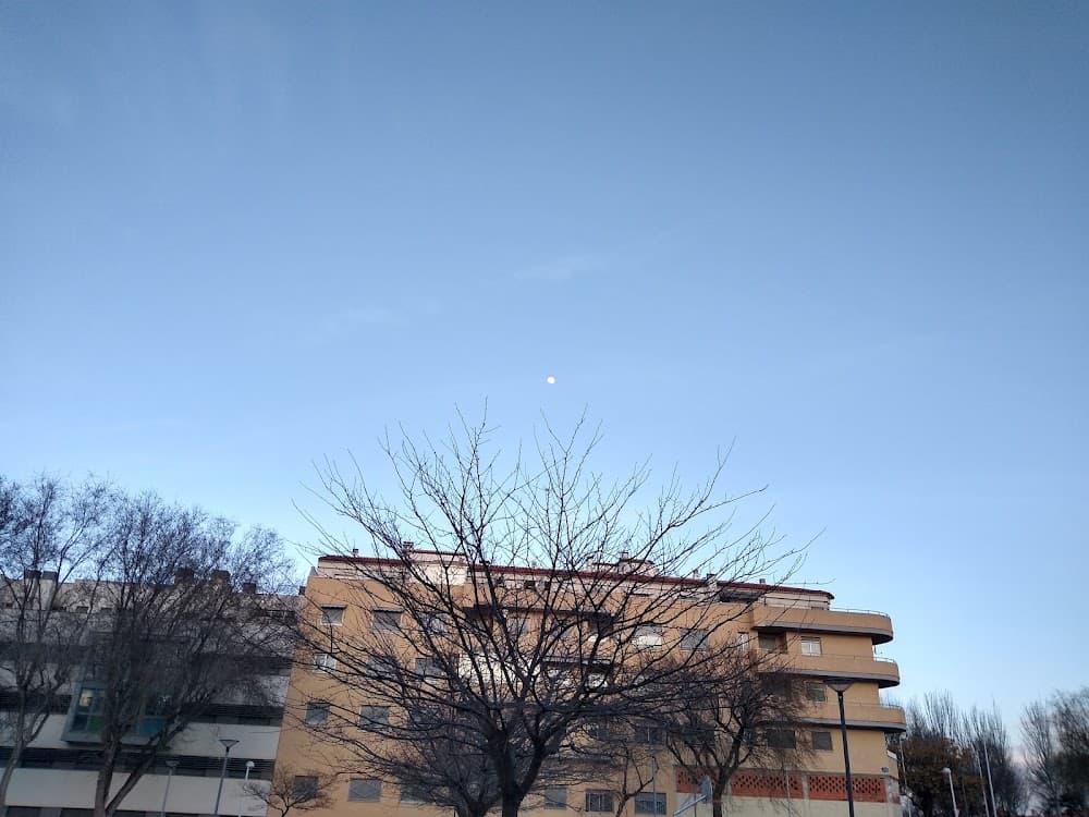 Foto del campus Amparo Sanz
