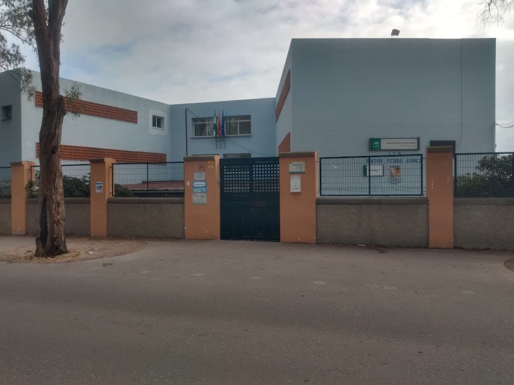 Mecanizado en Pintor Pedro Gómez (Pintor Pedro Gómez, Huelva): foto 1