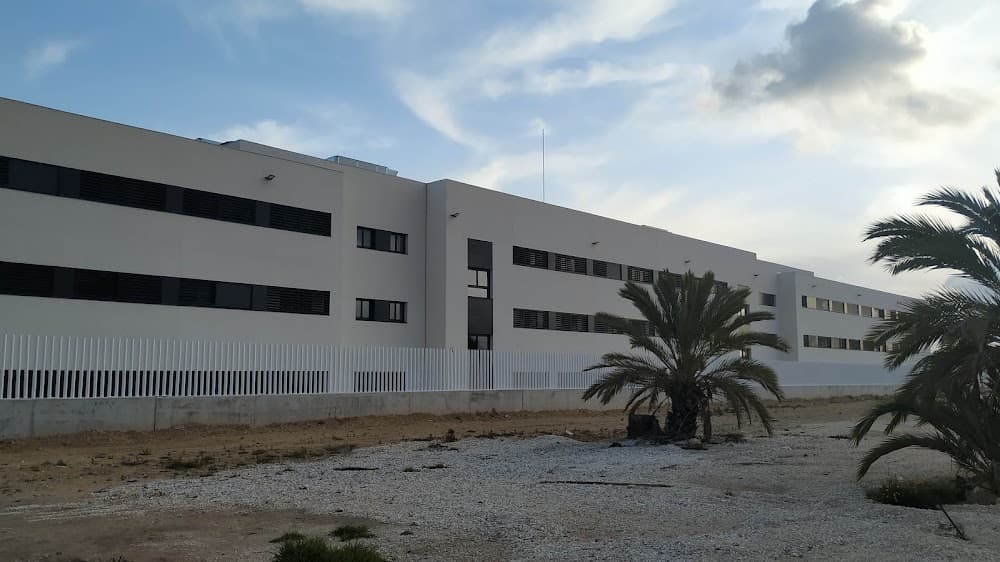 Panadería, Repostería Y Confitería en Vicente Verdú (Vicente Verdú, Elche): foto 3