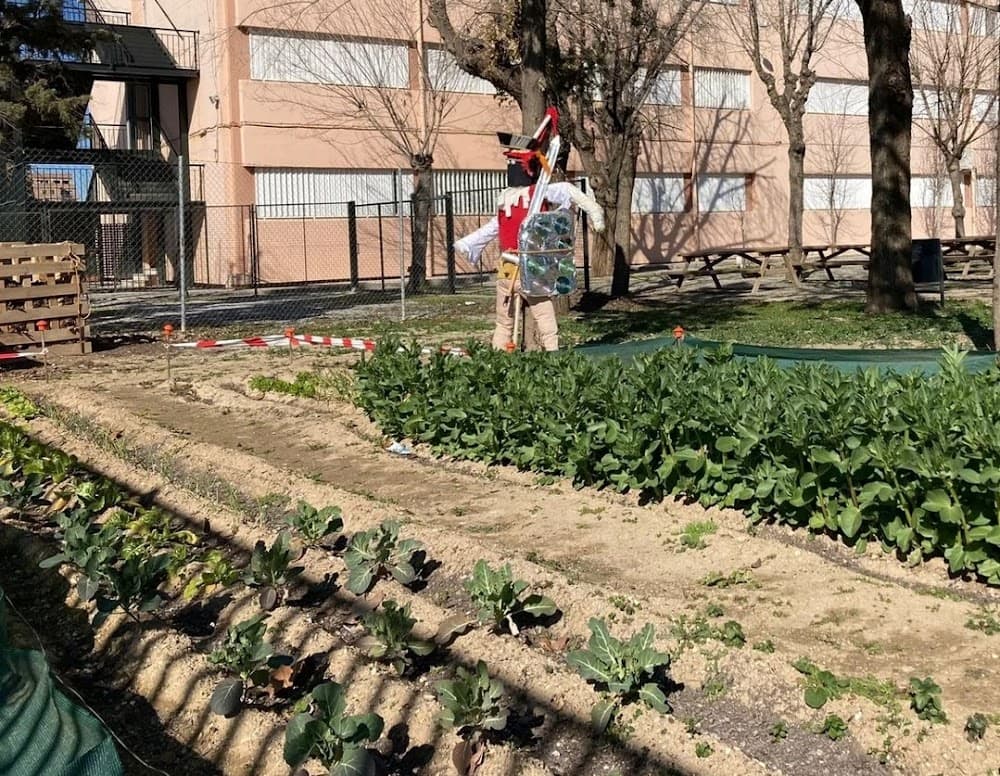 Integració Social a Severo Ochoa (Severo Ochoa, Granada): foto 1