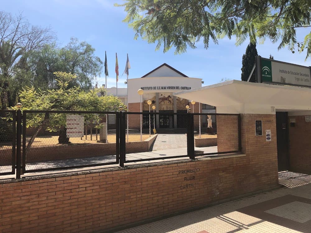 Atenció A Persones En Situació De Dependència a Virgen Del Castillo (Virgen Del Castillo, Lebrija): foto 1