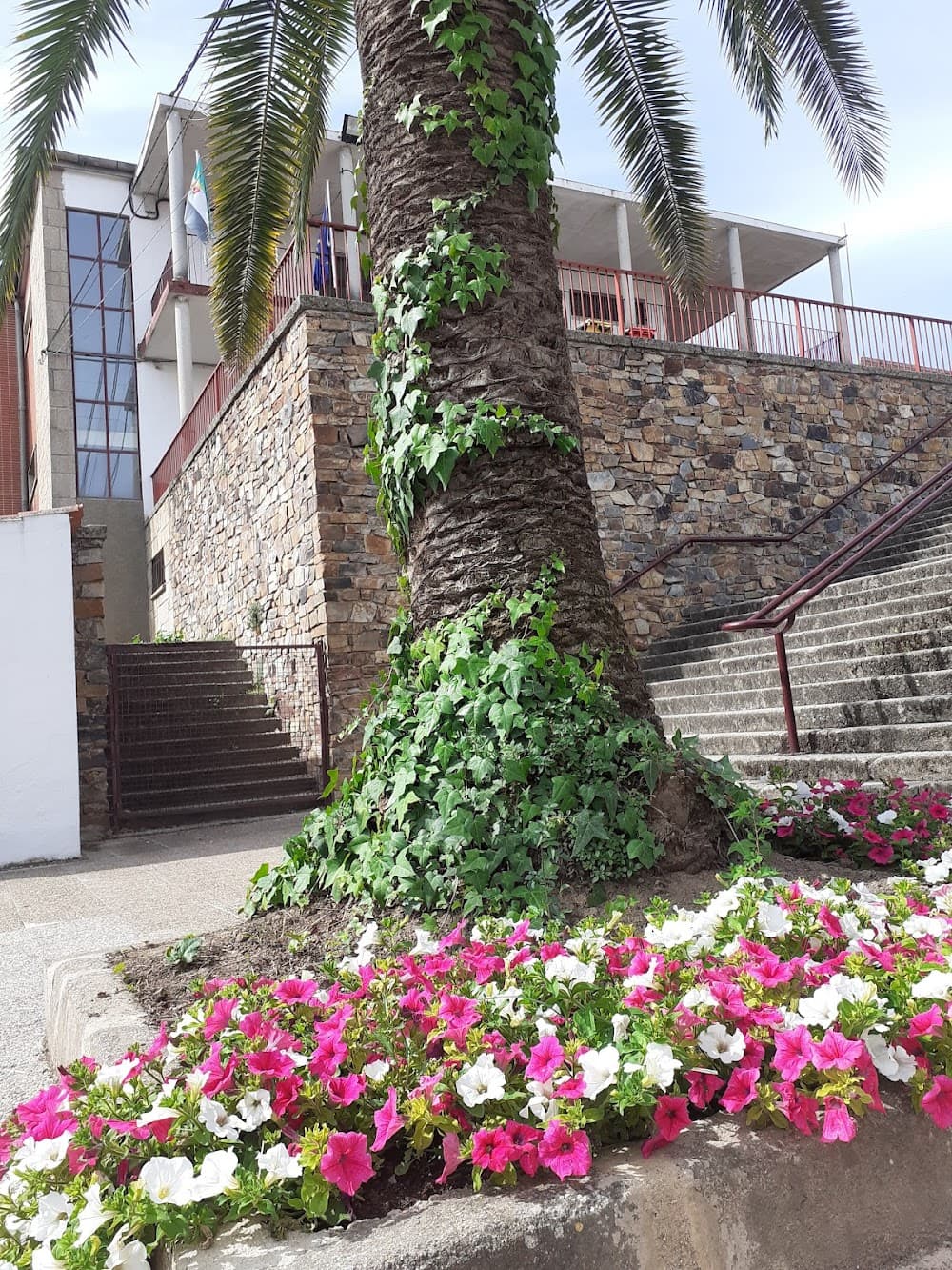 Foto secundaria del campus El Brocense
