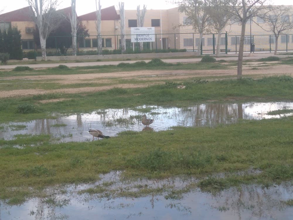 Foto secundaria del campus Tiempos Modernos