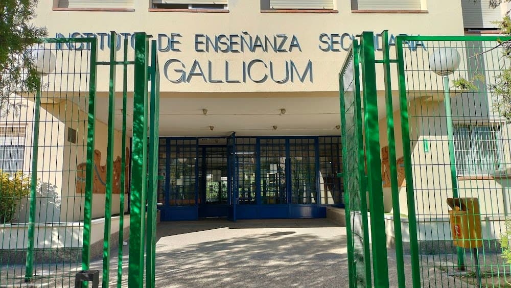 Gestió Administrativa a Gallicum (Gallicum, Zuera): foto 4