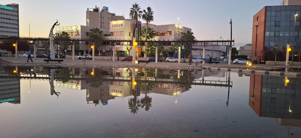 Foto secundaria del campus Cesur Murcia