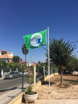 San Alberto Magno