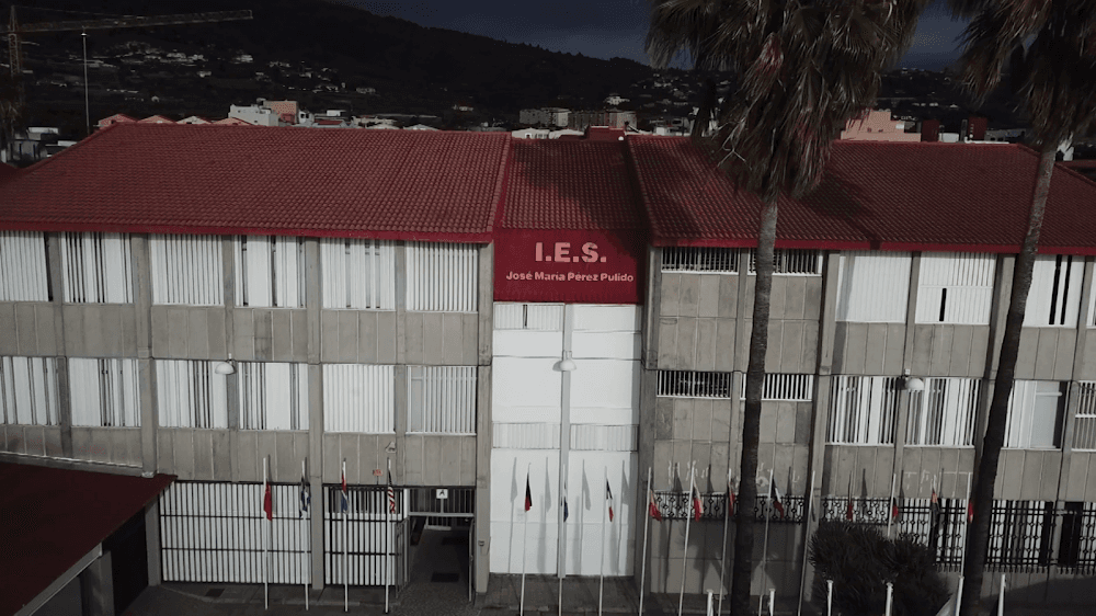 Gestión Administrativa en José María Pérez Pulido (José María Pérez Pulido, Los Llanos De Aridane): foto 3