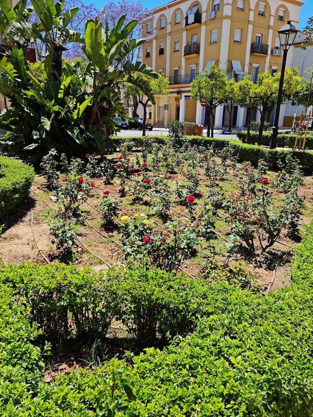 Vídeo, Discjòcquei I So a Santa María De Los Ángeles (Santa María De Los Ángeles, Málaga): foto 5