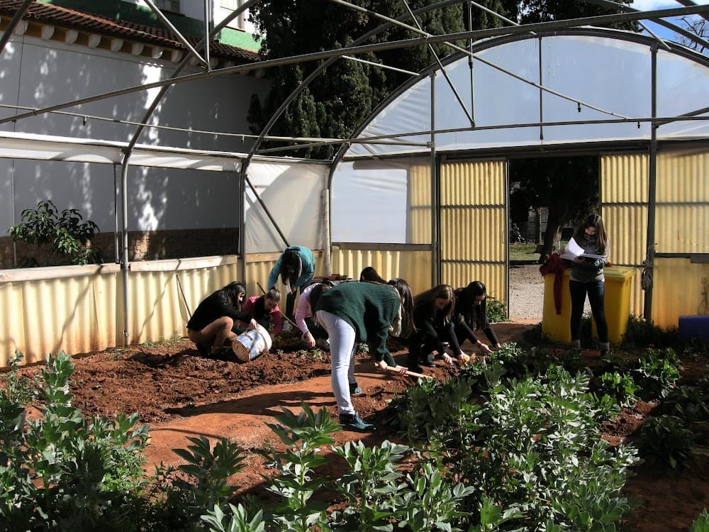 Foto secundaria del campus Fundación Flors