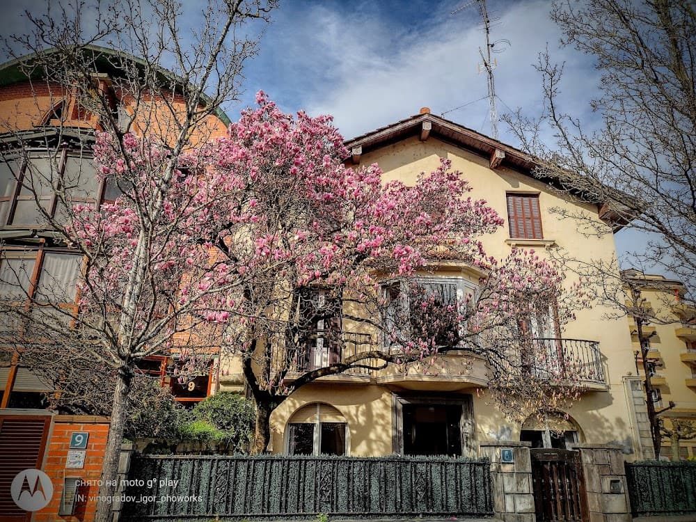 Foto secundaria del campus Tolosako Inmakulada Lanbide Ikastola
