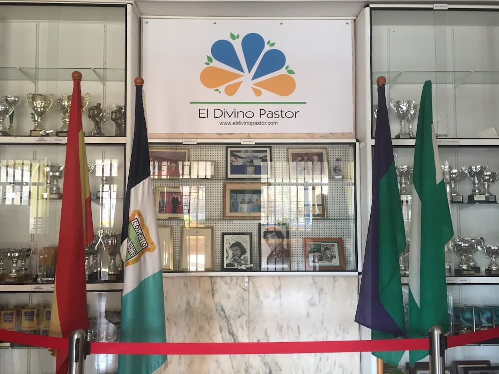 Enseñanza Y Animación Sociodeportiva en El Divino Pastor (El Divino Pastor, Málaga): foto 4