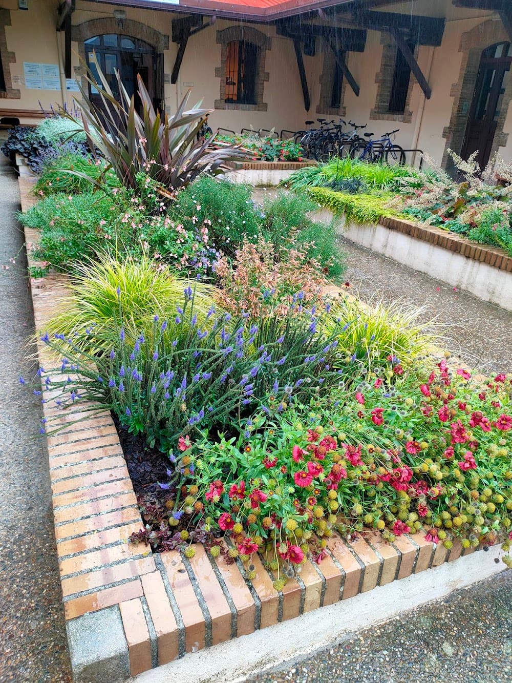 Foto secundaria del campus Agroforestal