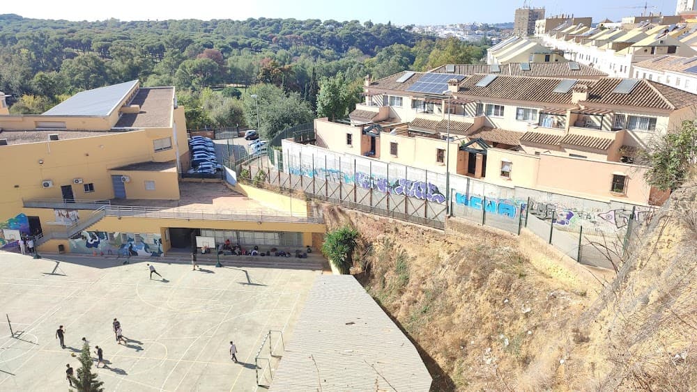 Foto secundaria del campus Albero