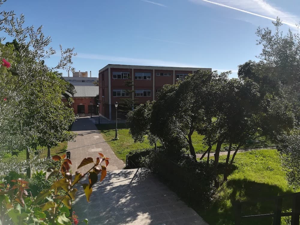 Acondicionamiento Físico en Núm. 1. Universidad Laboral (Núm. 1. Universidad Laboral, Málaga): foto 5
