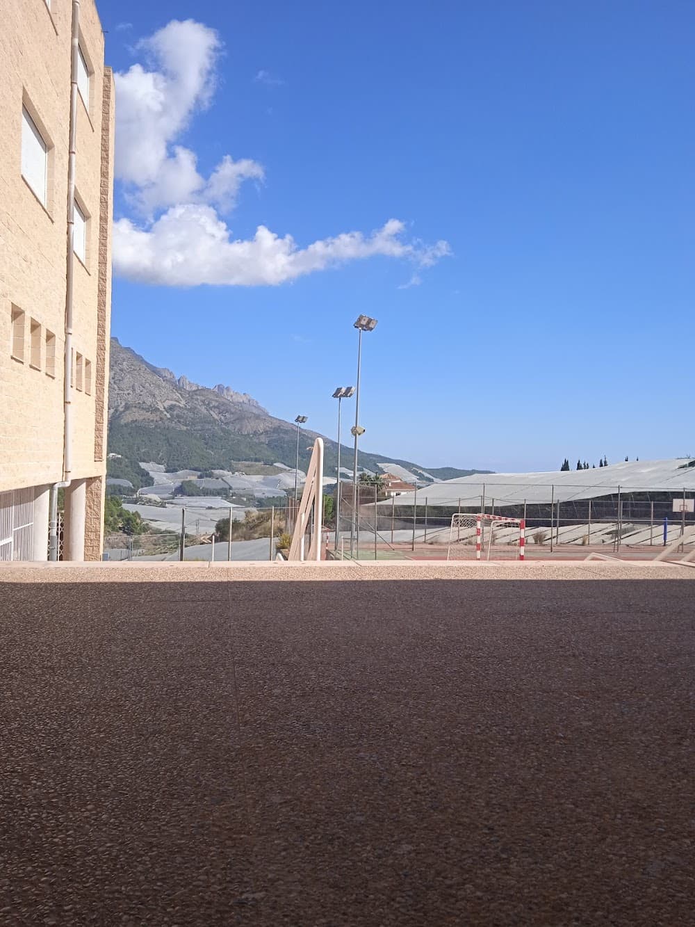 Educación Y Control Ambiental en Rodolfo Llopis (Rodolfo Llopis, Callosa D'en Sarrià): foto 5