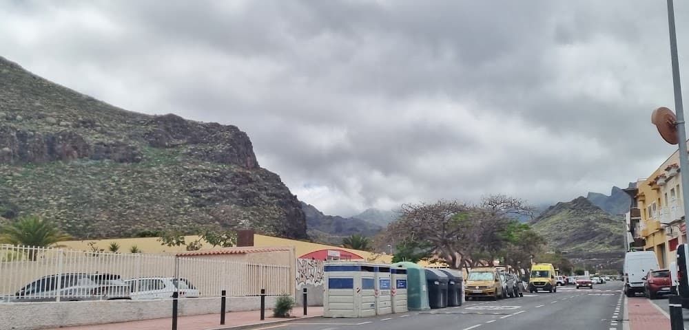 Gestió Forestal I Del Medi Natural a La Gomera (La Gomera, San Sebastián De La Gomera): foto 2