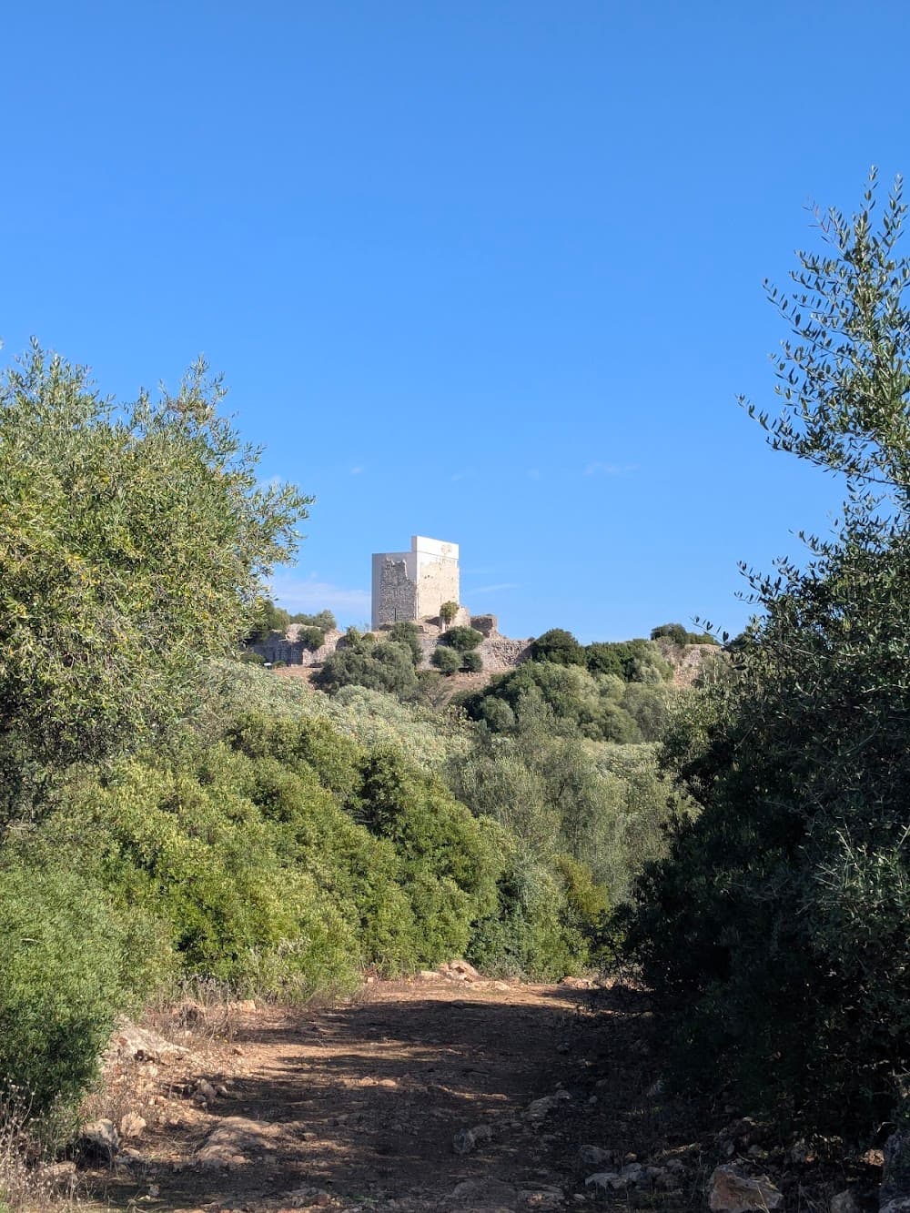 Foto secundaria del campus Castillo De Matrera