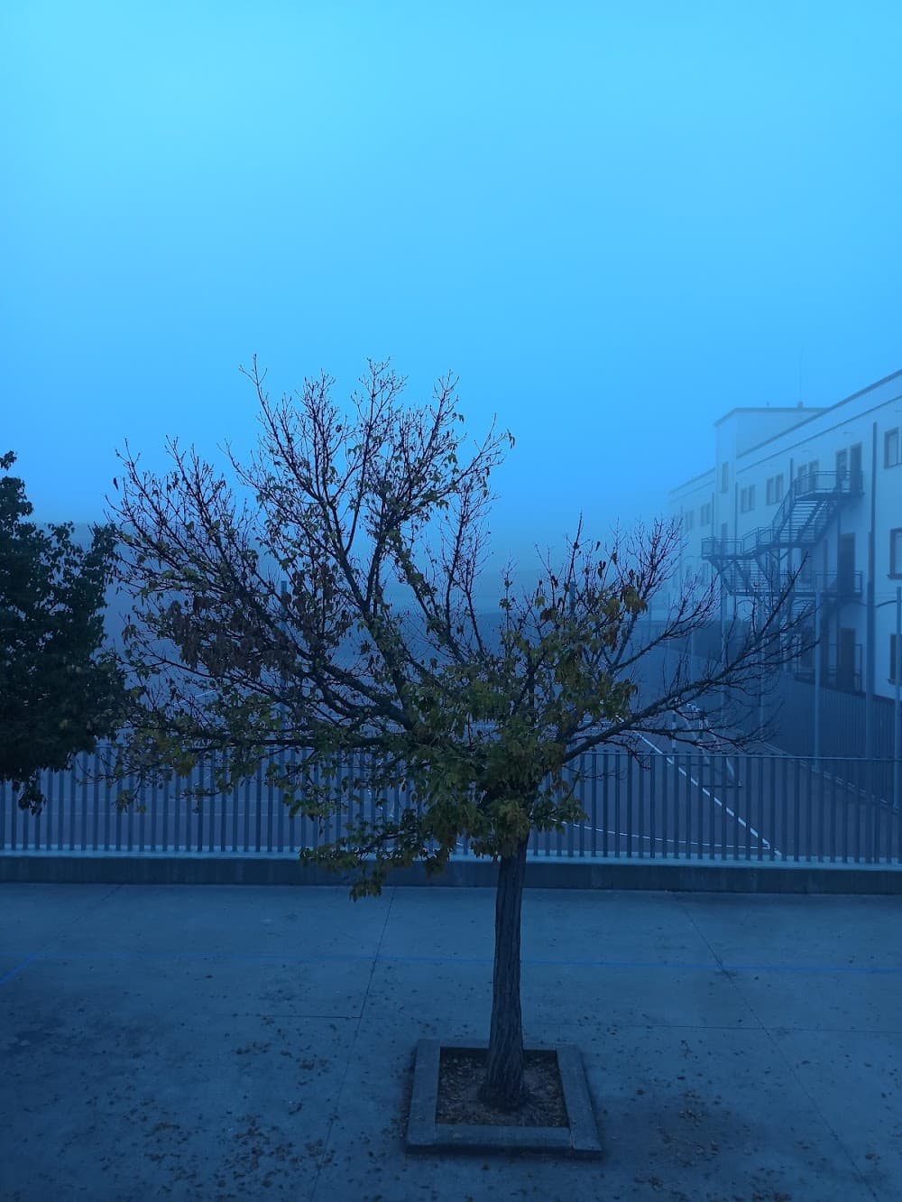 Foto secundaria del campus Escuelas Profesionales De La Sagrada Familia