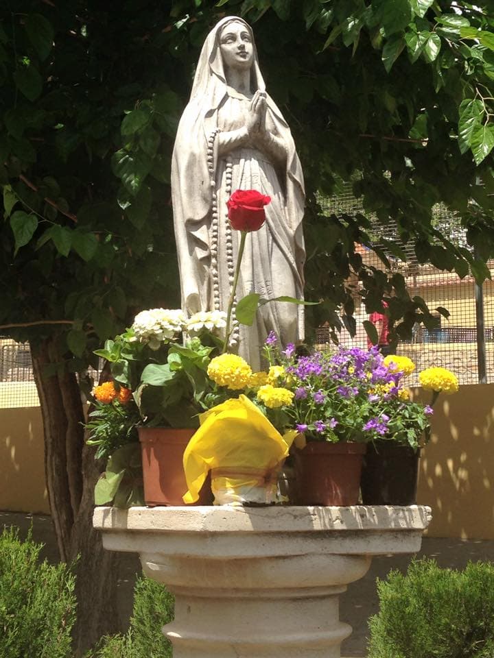 Gestió Administrativa a Asunción De Nuestra Señora (Asunción De Nuestra Señora, Benaguasil): foto 1