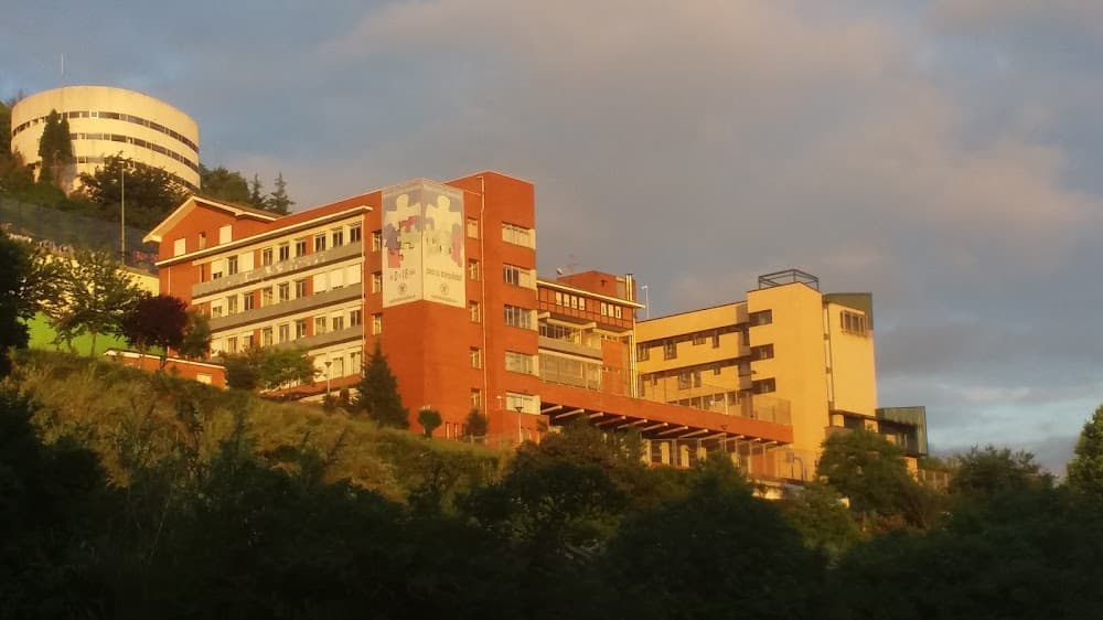 Activitats Comercials a Madre De Dios (Madre De Dios, Bilbao): foto 3