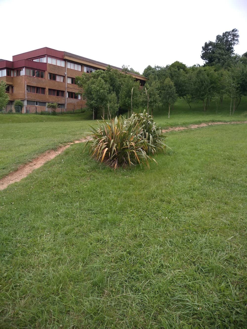 Foto secundaria del campus I.e.s. "monte Naranco"