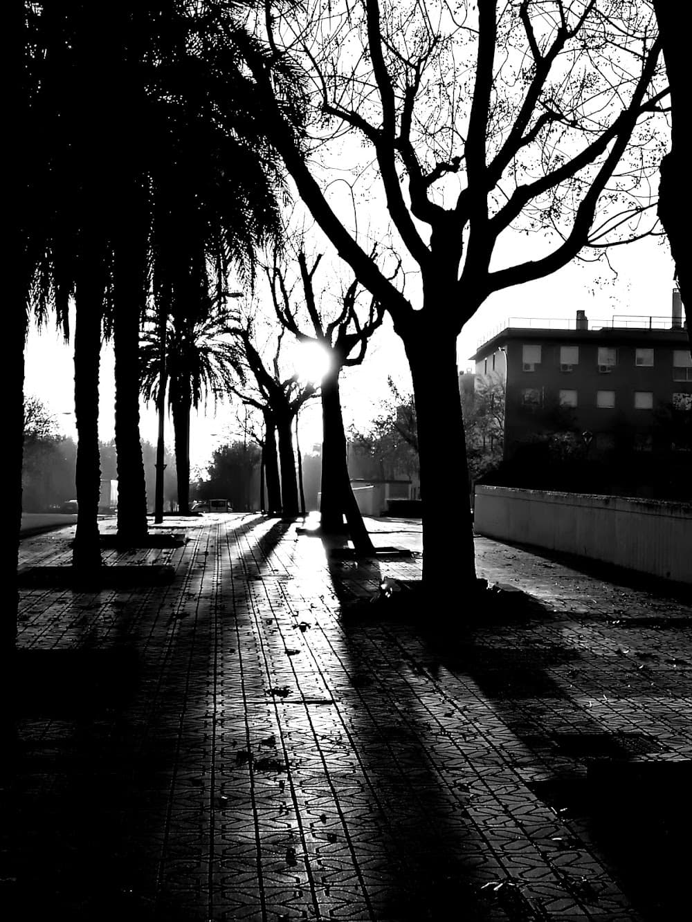 Foto del campus Ramón Y Cajal