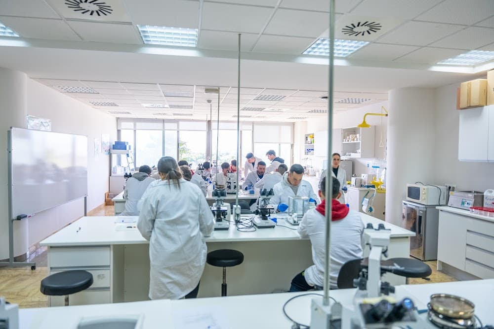 Foto secundaria del campus Cesur-sevilla