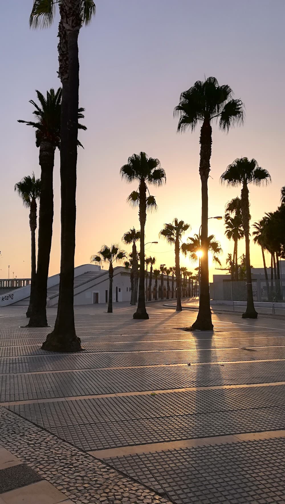 Foto secundaria del campus Cornelio Balbo