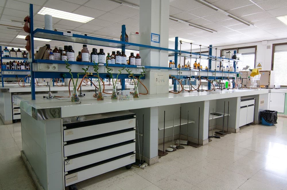 Foto secundaria del campus Elorrieta-erreka Mari