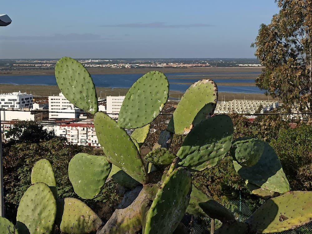 Foto secundaria del campus Alto Conquero