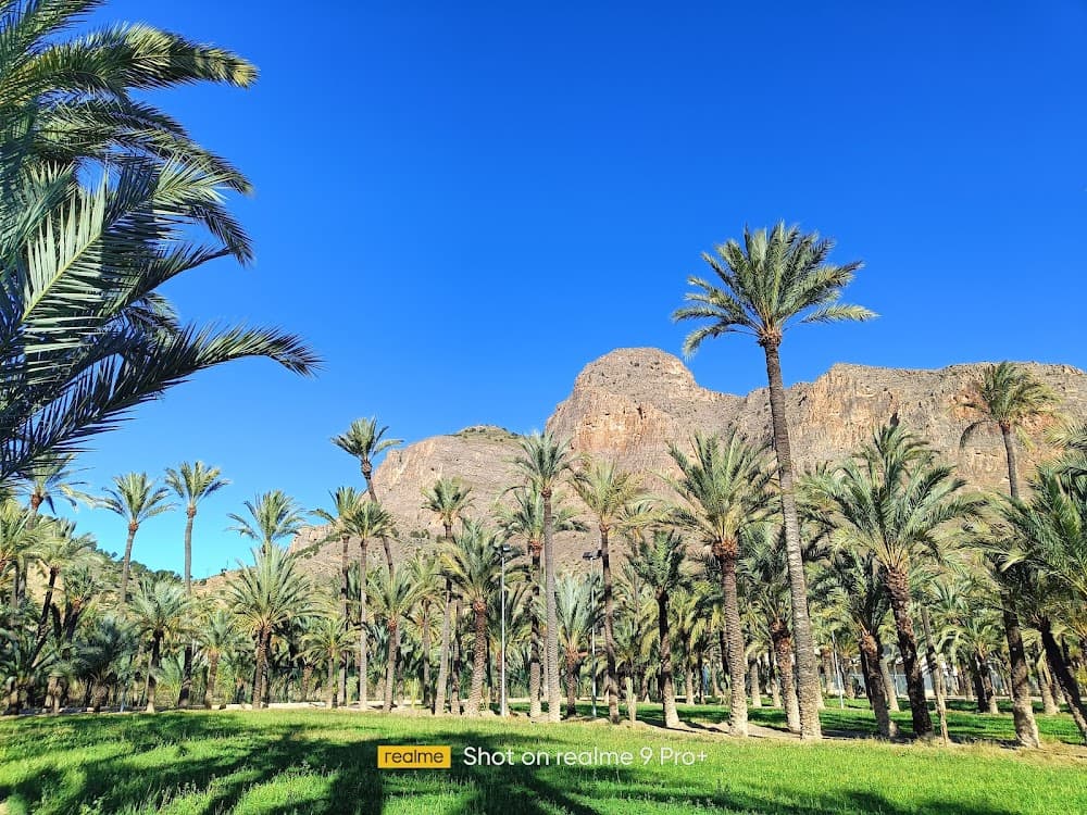 Foto del campus El Palmeral