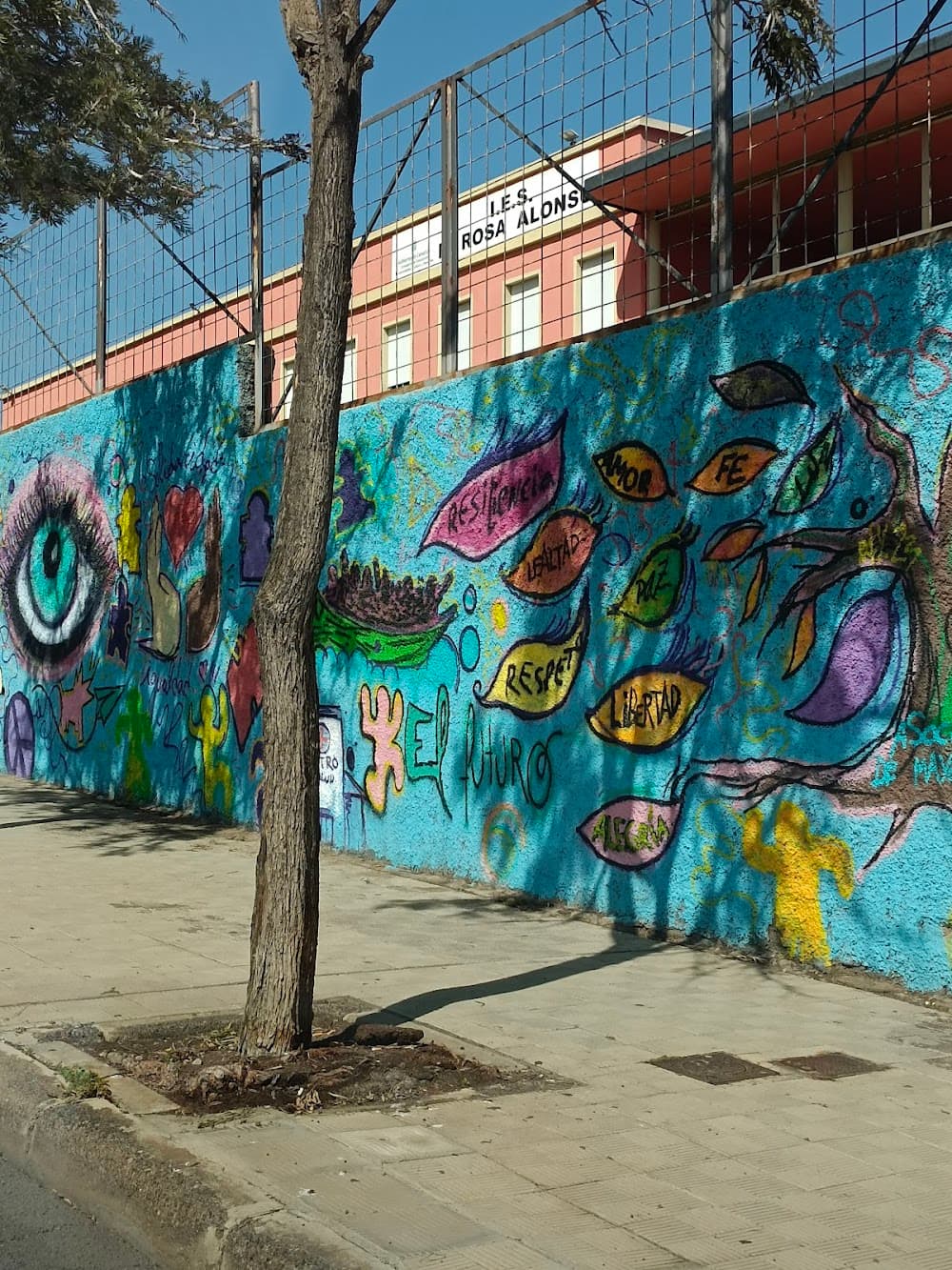 Foto secundaria del campus María Rosa Alonso